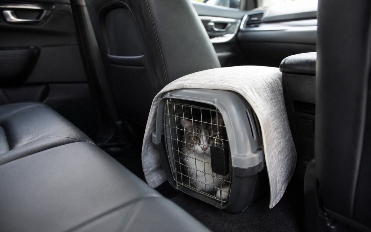 A secured cat carrier placed safely on the floor behind the front passenger seat in a car, light clo